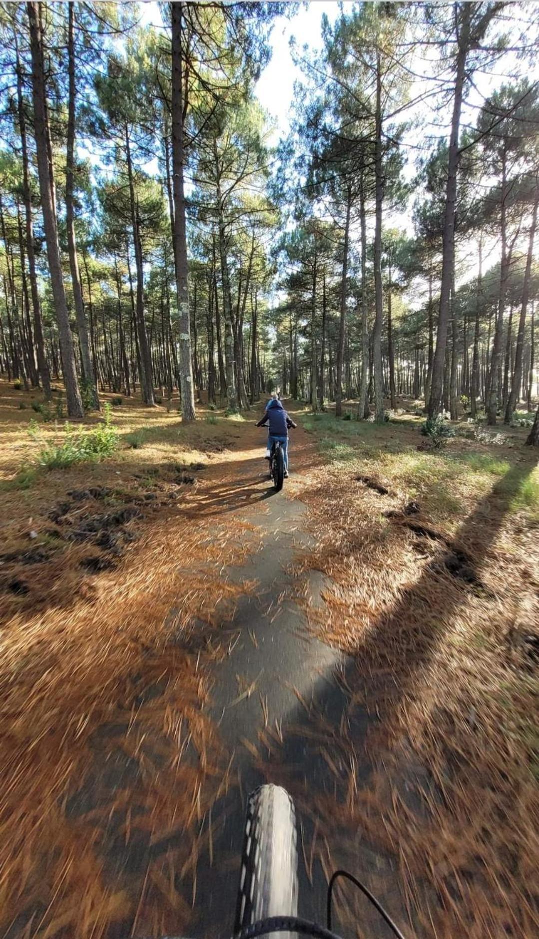 Camping Des Dunes De Contis Mobilhome 3Ch, Saint-Julien-en-Born Zewnętrze zdjęcie